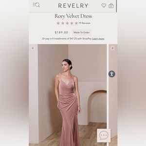 Revelry Rory Velvet Dress / Size 2 / Blush